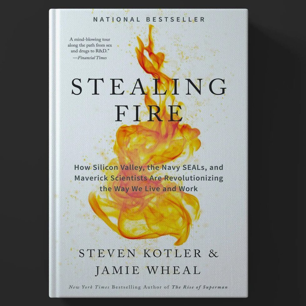 《盗火》(Stealing Fire)英文版书封。